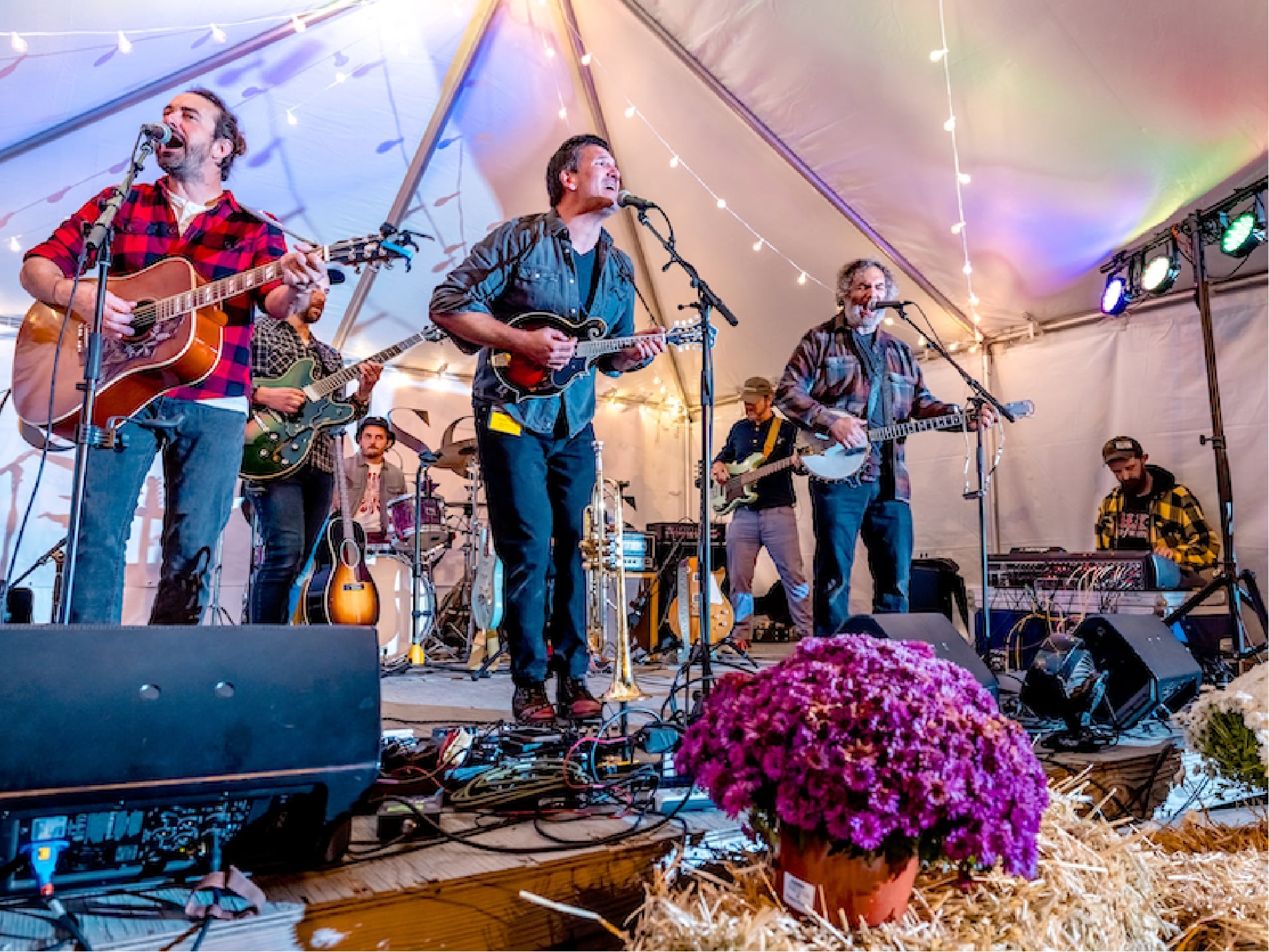 Live Music & Performance Stage